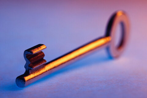 Featured image 1